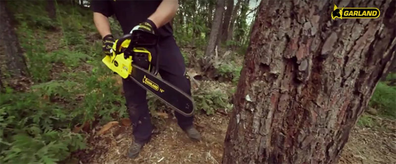 Cómo cortar con la motosierra (1): Abatir un árbol - Blog Garland